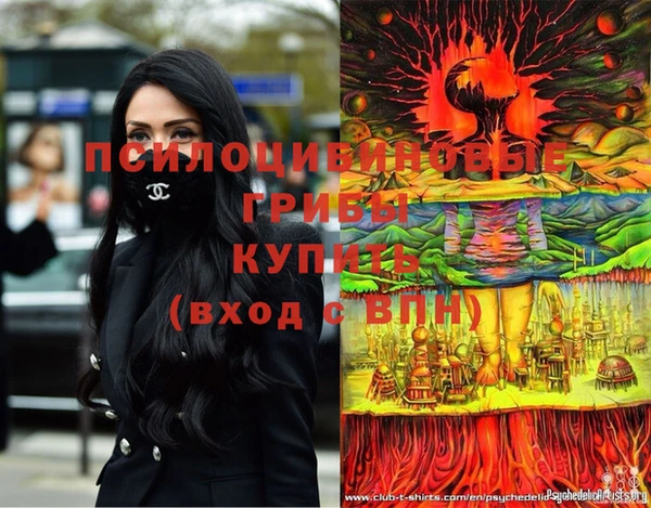 ПСИЛОЦИБИНОВЫЕ ГРИБЫ Аркадак
