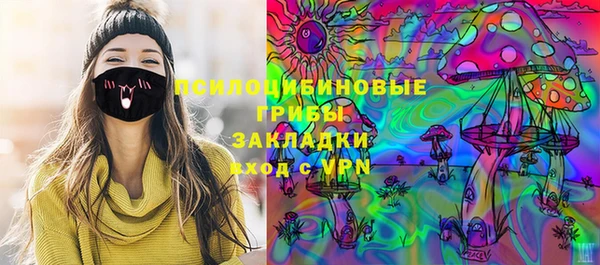 ПСИЛОЦИБИНОВЫЕ ГРИБЫ Аркадак