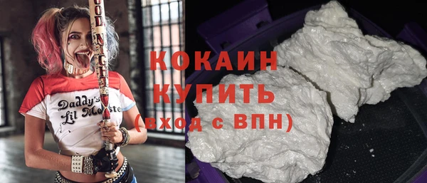 ПСИЛОЦИБИНОВЫЕ ГРИБЫ Аркадак